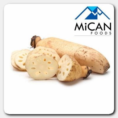 Lotus Root | Akar Teratai (800G Per Unit)