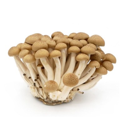 Mushroom Shimeiji Brown [200g pkt] [KLANG VALLEY ONLY]