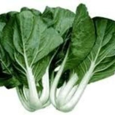 Pak Choy Sawi Putih (Sold Per KG) [KLANG VALLEY ONLY]