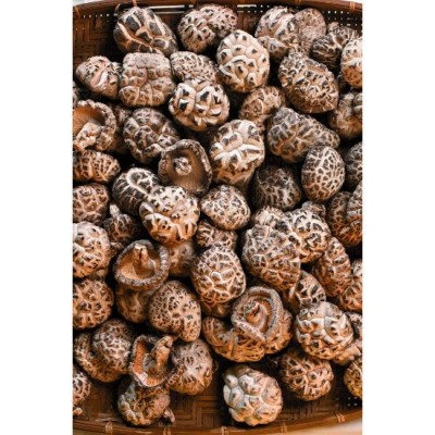 Premium Dried Mushroom 120g [KLANG VALLEY ONLY]