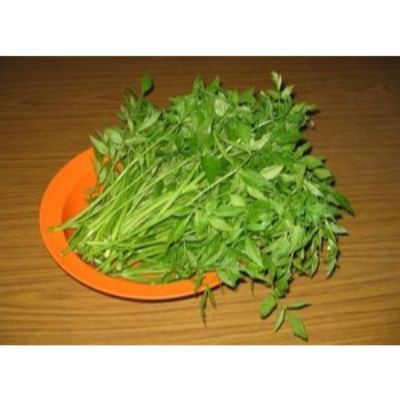 Selom Leaves, Daun Selom (sold per kg)