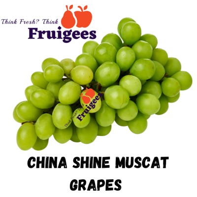 SHINE MUSCAT GRAPE