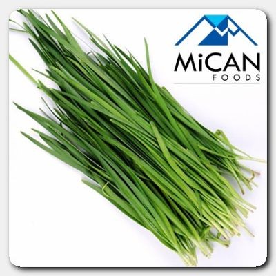 Garlic Chives   Kuchai (800G Per Unit)