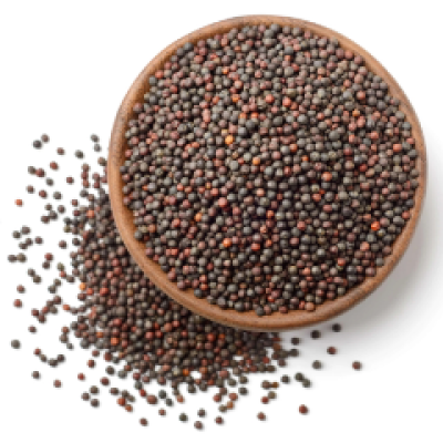 Biji Sawi - Mustard Seed 40g [KLANG VALLEY ONLY]