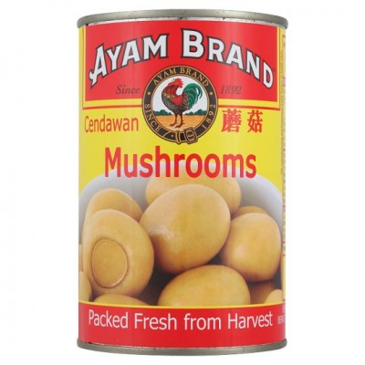 AYAM BRAND MUSHROOM BUTTON 24 X 420G