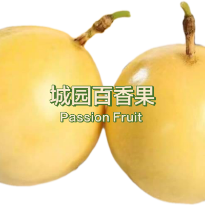 Passion Fruit - (L Size) Panama Golden Rose Passion Fruit 1kg