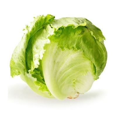 Iceberg Lettuce (sold by kg)