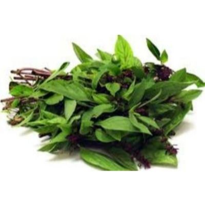 Basil THAI Leaves, Daun Selasih (sold per kg)