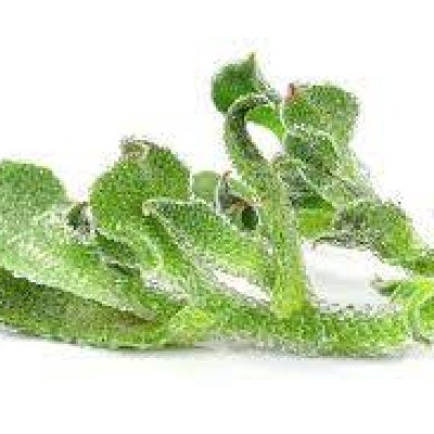 Ice Plant Crystalline (Sold Per KG) [KLANG VALLEY ONLY]