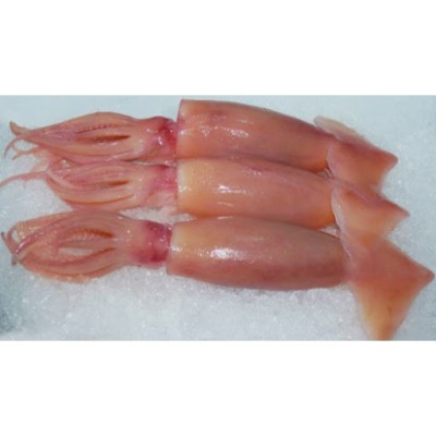 Squid Brown Sotong Kembang (Sold Per KG) [KLANG VALLEY ONLY]