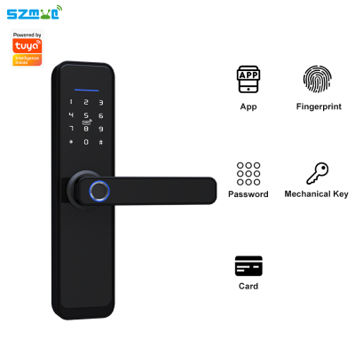 LTech Zegbee Smart Door with Handle