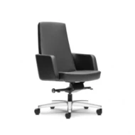 High Back Chair (For Discussion area & Visitor Chair)