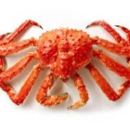 ATLANTIC KING CRAB 1.3KG