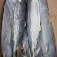 DRIED TENGGIRI FISH (400G)