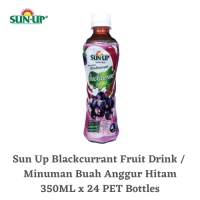 Sun Up - Ready-To-Drink Blackcurrant Fruit Drink (24 bottles x 350ml)