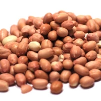 Raw Peanuts 250gm [KLANG VALLEY ONLY]