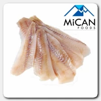 Premium Fish Fillet - Frozen Alaska Pollock