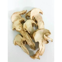 Matsutake Mushrooms 35g (1 Units Per Carton)