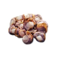 Boiled Hotate (Sold Per Pack) (10 Units Per Carton)