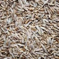 JINTAN MANIS (KASAR) (1 KG)