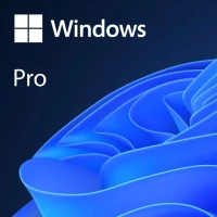 Windows 11 Professional OEM