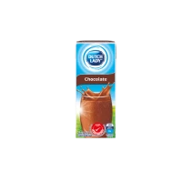 Dutch Lady UHT Chocolate 200ml x 6 x 4