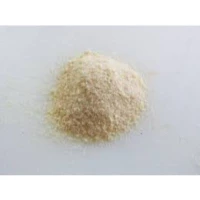 ONION POWDER 500gm unit