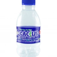 CACTUS NATURAL MINERAL WATER (250ML X 24) PER PACK