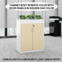 New Office Simple Modern Partition Cabinet File