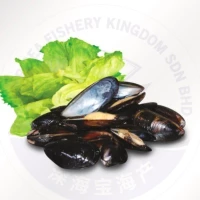 Full Shell Blue Mussel (5 Units Per Carton)