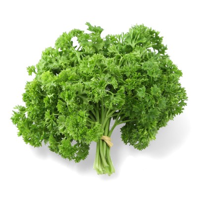Parsley English (Sold Per KG) [KLANG VALLEY ONLY]