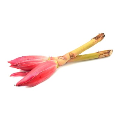 Flower Ginger Bunga Kantan [KLANG VALLEY ONLY]