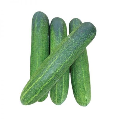 Cucumber Timun (Sold Per KG) [KLANG VALLEY ONLY]