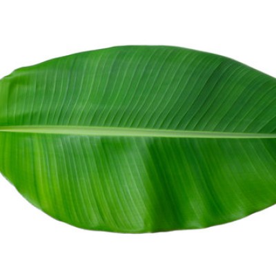 Leaf Banana (Sold Per KG) [KLANG VALLEY ONLY]