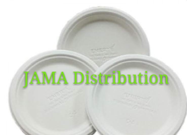 Biodegradable and Compostable 9' Plate (50 Units Per Outer)