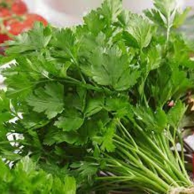 Parsley Italian [50g pkt] [KLANG VALLEY ONLY]