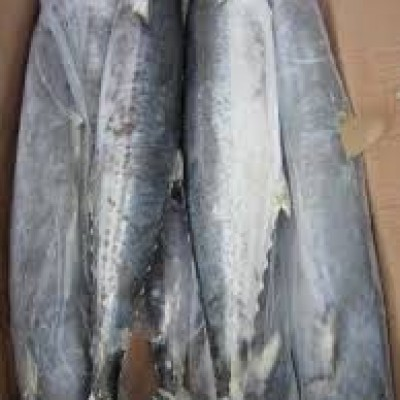 DRIED TENGGIRI FISH (400G)