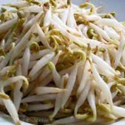 Sprout Mung Bean Taugeh (MSM) [2.8KG PKT] [KLANG VALLEY ONLY]