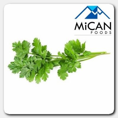 Chinese Parsley [Coriander] (800G Per Unit)