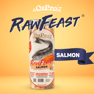 RawFeast Salmon 81g