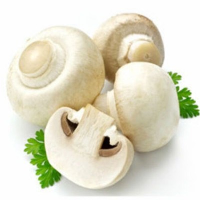 Mushroom Button White KG (Sold Per KG) [KLANG VALLEY ONLY]