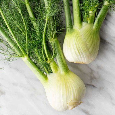 Fennel (Sold Per KG) [KLANG VALLEY ONLY]