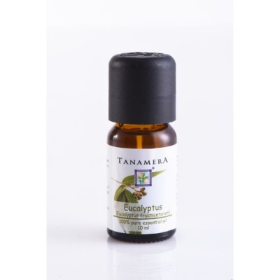 Essential oil Eucalyptus