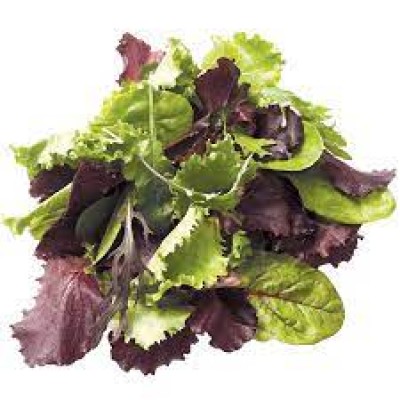 Salad Mesclun Mix [200g pkt] [KLANG VALLEY ONLY]