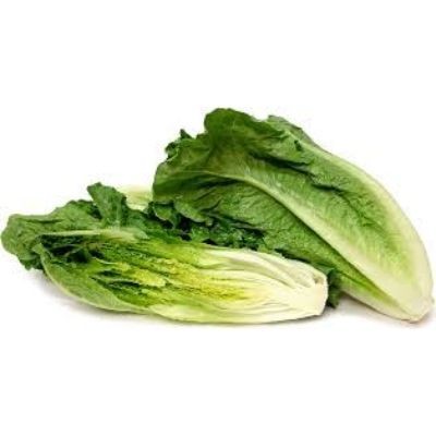 Romaine (sold by kg)