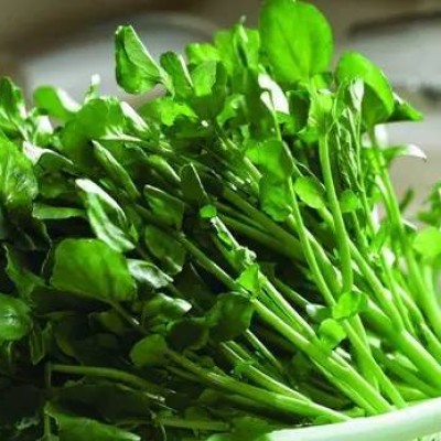 Watercress Selada Air [KLANG VALLEY ONLY]