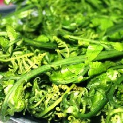 Fern Fiddlehead Pucuk Paku (Sold Per KG) [KLANG VALLEY ONLY]