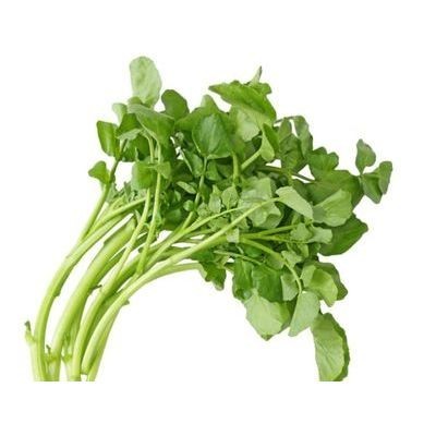 Watercress (Sold Per KG) [KLANG VALLEY ONLY]