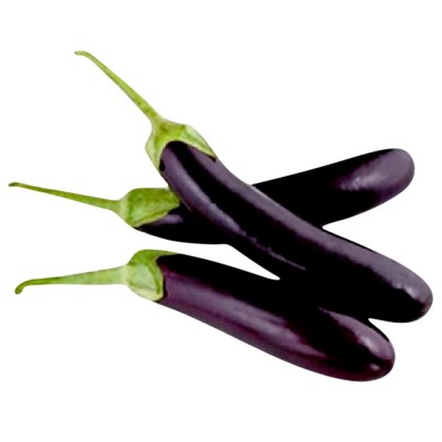 Eggplant Long Terung Panjang (B) (B) (Sold Per KG) [KLANG VALLEY ONLY]