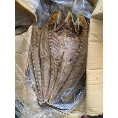 Ikan Talang besar 1.2Kg